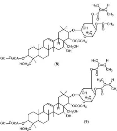 Fig. 5. Components of Xanthoceras sorbifolia多糖研究を追求する中で，1113)基礎的な糖質化学研 究 の 必 要 性 を 感 じ ， カ ナ ダ ， ア ル バ ー タ 大 学Lemieux教授の下で，糖合成の基礎を学び，フタルイミド誘導体によるアミノ糖のb選択的グリコシデーション法を構築する中で14)低分子化合物と高分子化合物との接点を求め，合成的手段に基づくモデル化合物の合成へと向かった（Fig