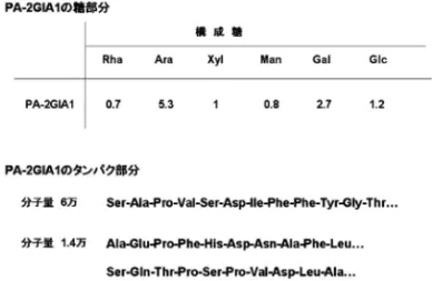 Fig. 30. Component Sugar Residue and Protein Sequences of PA-2GI A1 れ（Fig. 29），アラビノガラクタン様の糖タンパク 質が活性本体であることが推測された（Fig