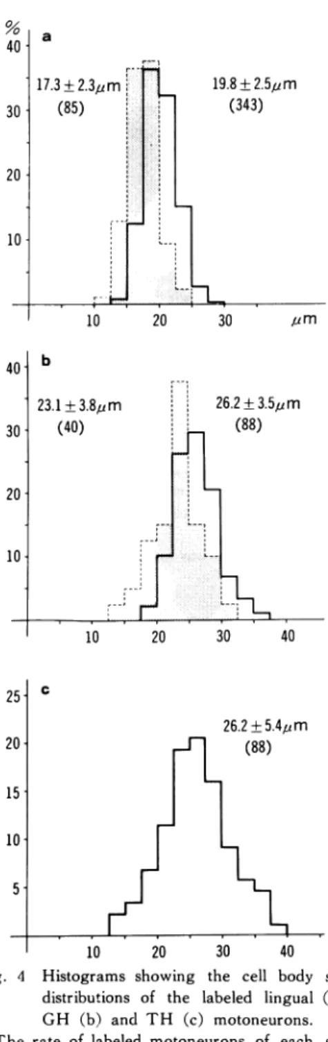 Fig.  4  Histograms  showing  the  cell  body  size