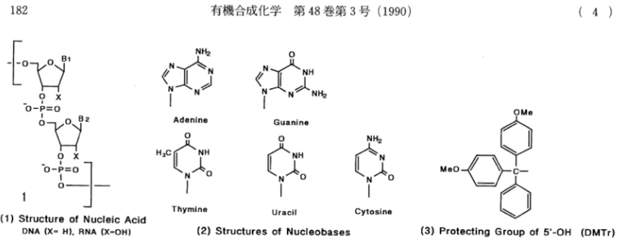 Fig.  2  Structures  of  nucleic  acids  and  their   components   .