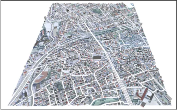 図  2-5  広域の地形モデルの例 