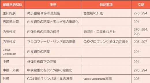 表 11  バージャー病の病理組織学的特徴 組織学的部位 所見 特記事項 文献 主に内膜 微小膿瘍 &amp; 多核巨細胞  急性期の所見 276, 294 再疎通血管 内皮細胞の肥厚と玉ねぎ様の重層化 294 内弾性板 内弾性板の屈曲の保持 過屈曲・二重化なども 276, 294,  296 内弾性板 マクロファージ・リンパ球の密着 免疫グロブリンや補体の沈着も 295, 297 vasa  vasorum 内皮細胞の肥厚 294 中膜 外弾性板直下の浮腫 294 中膜・外膜 中膜線維化を欠く外膜の線維化