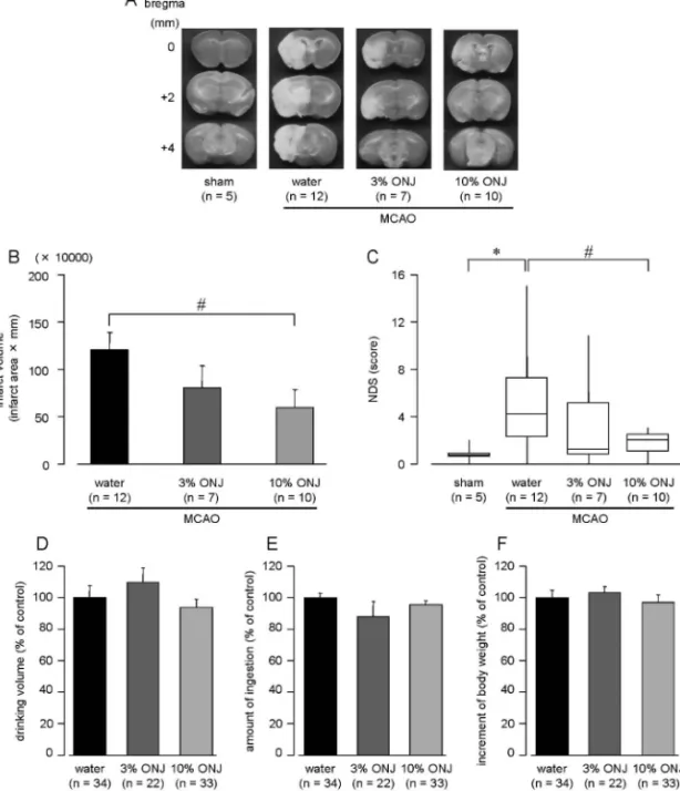 Fig. 1. EŠect of ONJ on Infarct Volume, Behavioral Abnormality and Dietary Factors after MCAO