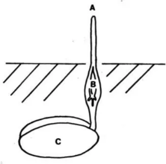 Fig. 1  Schematic Diagram of Data Recorder.