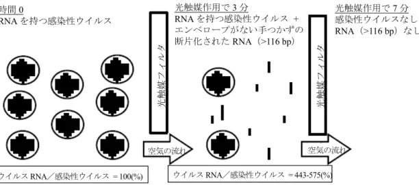 図 7.  触媒処理中の感染性ウイルス粒子と RNA コピーの分解。左のパネルに見られるように、光触媒作用に先 立ち、 8 個の分節 RNA ゲノムを含むエンベロープで覆われた感染性インフルエンザウイルスを、 77–107  RNA コ ピー／PFU を含む立方体空間に入れた（時間 0 で 100％） 。中央のパネルに見られるように、エンベロープで覆わ れたウイルスと RNA は光触媒作用によって除去され、 3 分で RNA と感染性ウイルスの 1 ％未満が検出された。図