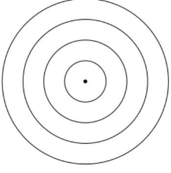 図 5.2: 群 S による軌道 問題 43 ある適当な集合上に , 有理式の群  ( 練習 74) の自然な作用を定義せよ . 解答 . 1 変数の有理式は関数と考えられる 