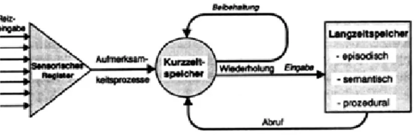 Abb. 1 Mehrspeichermodell  （Houston 1981: 340）