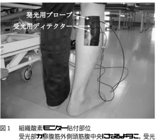 図 組織酸素モニター貼付部位 受光部が腓腹筋外側頭筋腹中央になるように ，受光 部と発光部の距離が一定になるようにプローブを固 定し ，測定深度が    になるように調整した． スで 回を行わせることを  セットとして，合計  セット実施した ．  セット目（ 以下，運動  ）の運 動後は ，休息を取り（ 以下，休息  ）， ( 値が運 動前の値に近づき，安定したことを確認してから ，  セット目（以下，運動  ）の運動へ移行した ．そ して再度，休息を挟み（以下，休息  ），  セット目 （以下，運動  