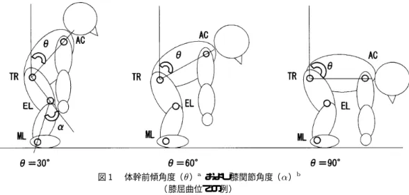 図  体幹前傾角度（  ）  および膝関節角度（  ）  （ 膝屈曲位での例）  体幹前傾角度  ）は ，鉛直線と肩峰 （  ）−大転子（  ）線との間の角度とした．  膝関節角度（  ）は ，肩峰 （  ）−大転子（  ）線と大腿骨外側上顆 （  ）−外果 （  ）線との間の角度（解剖学的角度）とした． 表  体幹前傾角度別による脊柱起立筋，大腿四頭筋，大殿筋の  平均値±標準偏差   Ý   元配置分散分析（ ）と ! "# 多重比較による．  体幹前傾角度による比較．    Ý 膝伸展位と膝屈