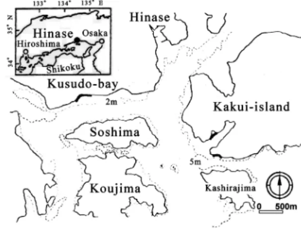 Fig. 1    Outline of researched area. 