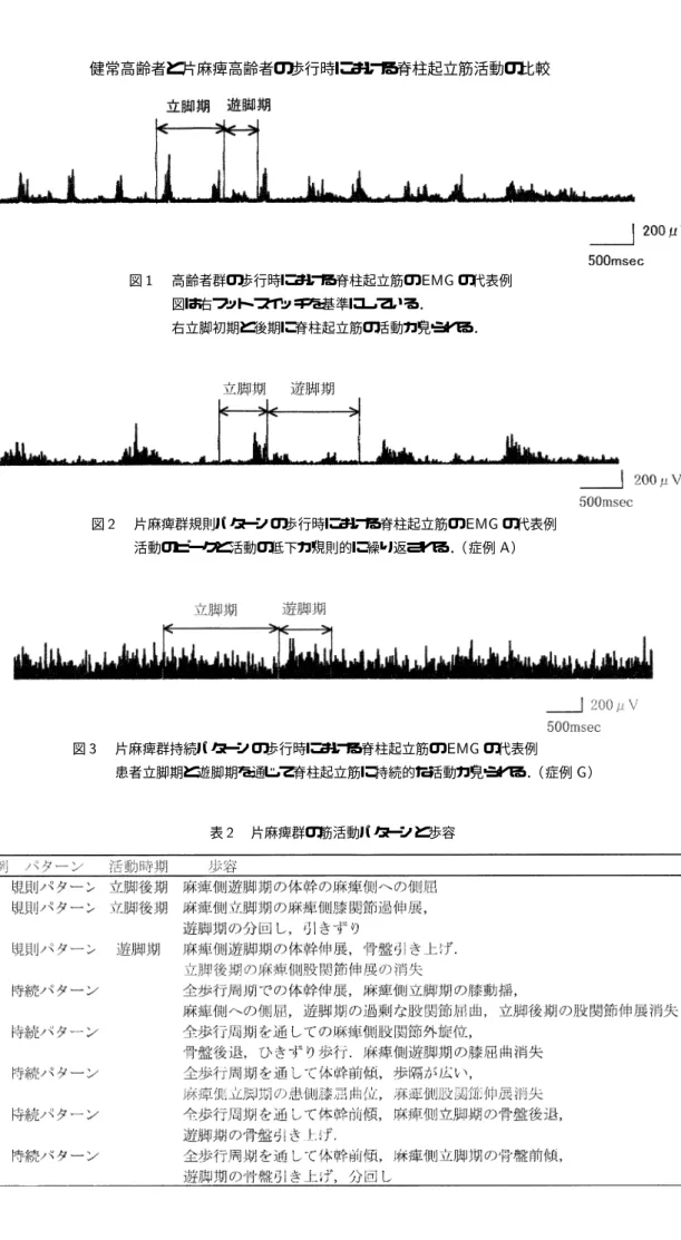 図  高齢者群の歩行時における脊柱起立筋の  の代表例 図は右フット スイッチを基準にしている． 右立脚初期と後期に脊柱起立筋の活動が見られる． 図  片麻痺群規則パターンの歩行時における脊柱起立筋の  の代表例 活動のピークと活動の低下が規則的に繰り返される． （症例  ） 図  片麻痺群持続パターンの歩行時における脊柱起立筋の  の代表例 患者立脚期と遊脚期を通じて脊柱起立筋に持続的な活動が見られる． （症例  ） 表   片麻痺群の筋活動パターンと歩容