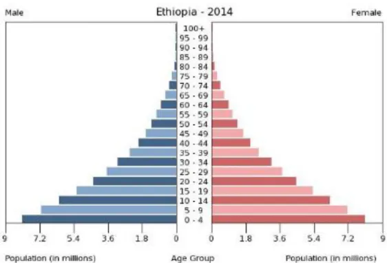図 1-4.  エチオピアの年齢ごとの人口分布  同国の失業率 8 を見ると、2013 年の時点では 4.5％と比較的低水準であるが、実際には都市部 と地方部とでは、その数値に 10 倍近い格差が存在する。農業従事者が多くを占める地方部の失 業率は大幅に低い為、国全体としては一見失業率は低いが、都市部の失業率は 20％近い高水準を 維持している(図 1-5)。今後エチオピアの人口拡大や工業化が急速に進展する中で都市への人口流 入は不可避であることから、特に都市近郊において就職口の増加が求められていると考えら