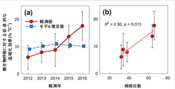 図 3 (a) 微生物呼吸に対する年平均温暖化効果の実測値とモデル推定値の比較、(b) 微生物呼吸に対す る年平均温暖化効果の実測値と降水日数の相関 3.  まとめ 本研究結果は、土壌に含まれる有機炭素の量が多く、湿潤な環境にあるアジアモンスーン域の森林土壌においては、 温暖化によって増加する微生物呼吸の量は、従来予測されていたよりも多いことを示唆するものです。これは、同様 の手法を用いて、異なる地域（アジアモンスーン地域）で確認された結果と合致します（参考論文 3 、 4 、 5 ）。 本研究の結果が、ア
