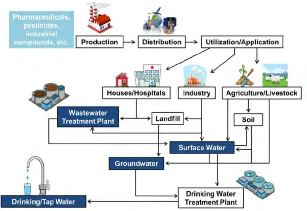 Figure 3. Typical sources and routes of micropollutants in the environment [21] 