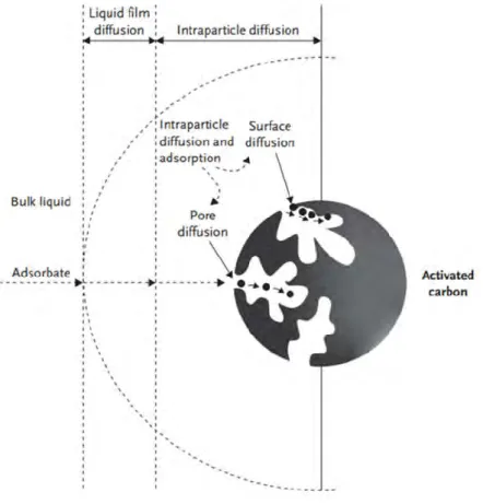 Figure 10. External and internal transport of an adsorbate in activated carbon  particle [53]   