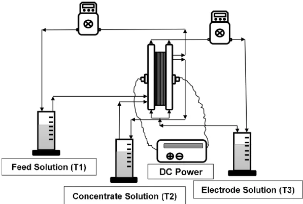 Figure 2-5. Schematic diagram of the ED apparatus for As removal 