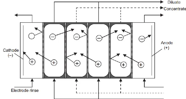 Figure 1-2: Ion migration in a salt solution through the membrane stack 