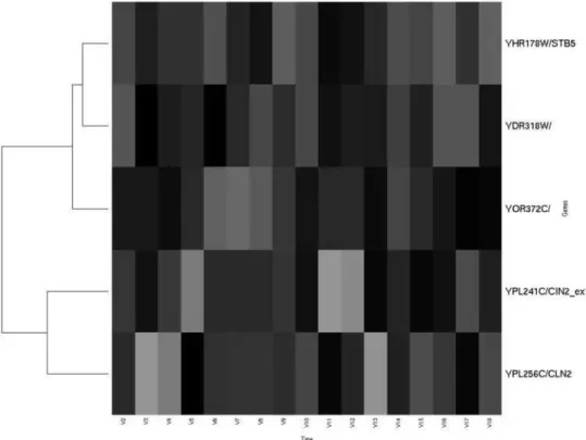 Figure 1: Each row represents a yeast gene’s expression pattern over 17 time points [21]