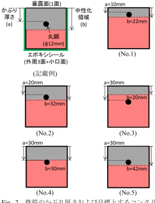 Fig. 3   乾燥期間における含水率分布の経時変化