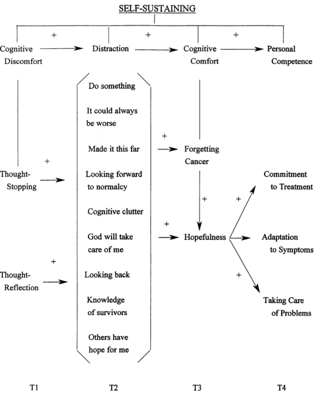 Figure  1.   The  Substantive  Theory:  Categories,  core  concepts,  and  the  central  organized