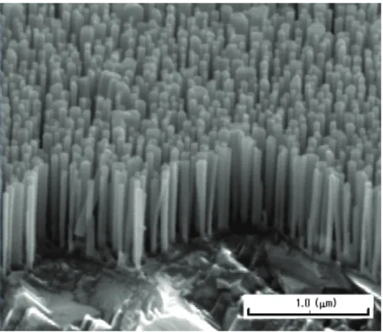 図 ２  GaN ナノコラム結 晶 の走 査 型 電 子 顕 微 鏡 像 、 直 径 100nm 、 高 さ １ μ m 程 度 の GaN ナノ柱状結晶が結晶成長中に自己形 成される（’97 年に上智大が最初に発表  360 365 370 375 380770 kW/cm2460 kW/cm2320 kW/cm2Intensity (a.u.) Wavelength (nm) 150 kW/cm 2 図４  GaN ナノコラムの室温ランダムレージ ングスペクトルの励起光強度依存性 YAG:355n5ns