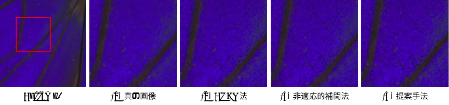 図 10 Butterfly1 に対するベイヤーデモザイキング結果，および提案手法によるマル チバンドデモザイキング結果 ; sRGB 対応ディスプレイでの比較を推奨する． なお，ディスプレイ表示のためガンマ補正を行っている． らは，高精度なベイヤーデモザイキング手法として知ら れている．そして，マルチバンドデモザイキングされた 画像との公平な評価を行うため，ベイヤーデモザイキン グされた RGB 画像を，sRGB 画像へと変換する．この 際の変換行列は， 5 バンドと同様にして，spatio-spectr