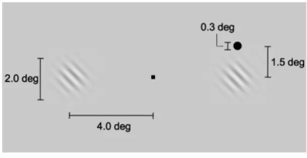Figure 1 Carrasco et al. （2004）が用いた刺激の例