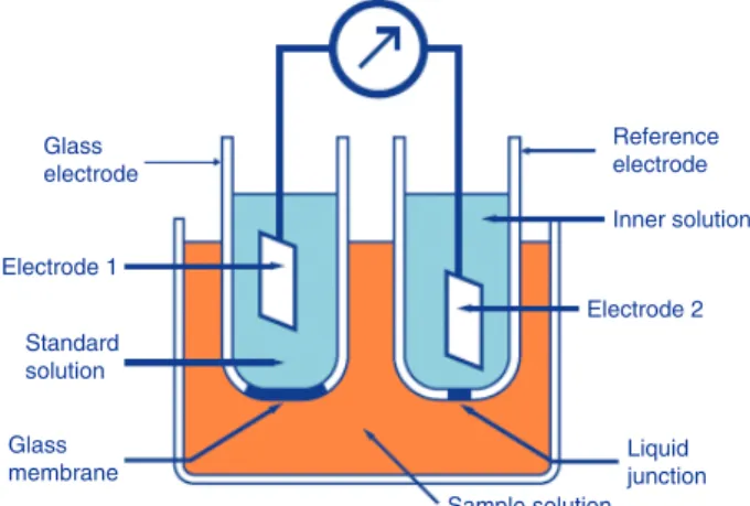 Figure 1     Outlook of new electrodes 