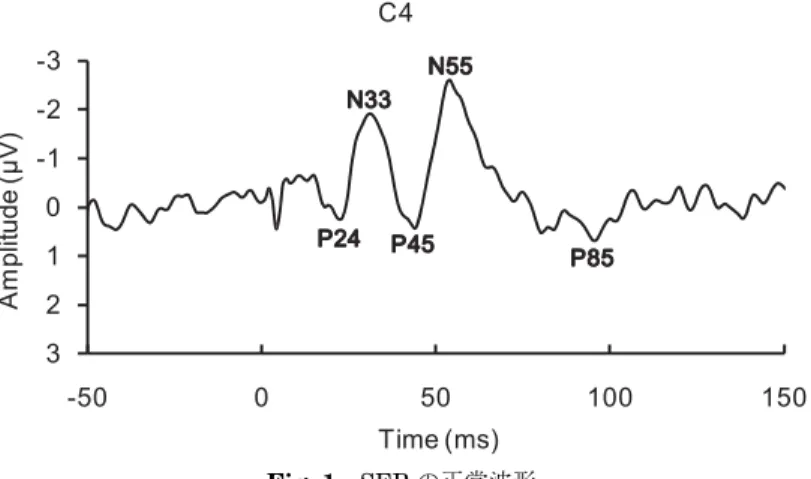 Fig. 1 で示した体性感覚刺激に対する SEP は，体性感覚のもつ様々な情報