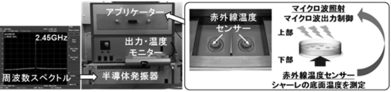 Fig. 1. マイクロ波照射装置の概要
