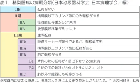 表 2.  IGCC（International germ cell consensus）分類