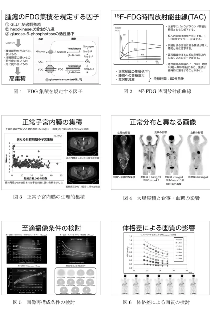 図 1  FDG 集積を規定する因子  図 2  18 F-FDG 時間放射能曲線 