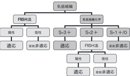 図 10 乳癌のトラスツズマブによる治療の適応を決定するアルゴリズム 右：免疫染色により S- 3  ＋の染色性が得られれば適応，S- 1  ＋または S- 0の場合は非適応，S- 2 ＋ の場合はさらに FI SH法を行い，HER2遺伝子増幅を示せば適応，示さなければ非適応となる． 左：始めから FI SH法を用いて，HER2遺伝子増幅の有無の評価により決定する． い る（図 9）．そ の ほ か に HER2 遺 伝 子 に 対 す る probe のみで評価する kit もあり，この場合は腫瘍 細胞核