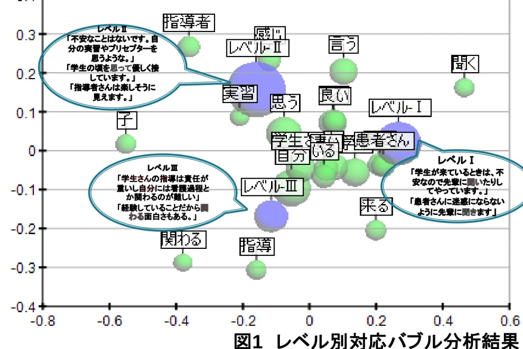 図 1 レベル別対応バブル分析結果