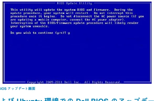 図 1. DOS の BIOS アップデート画面
