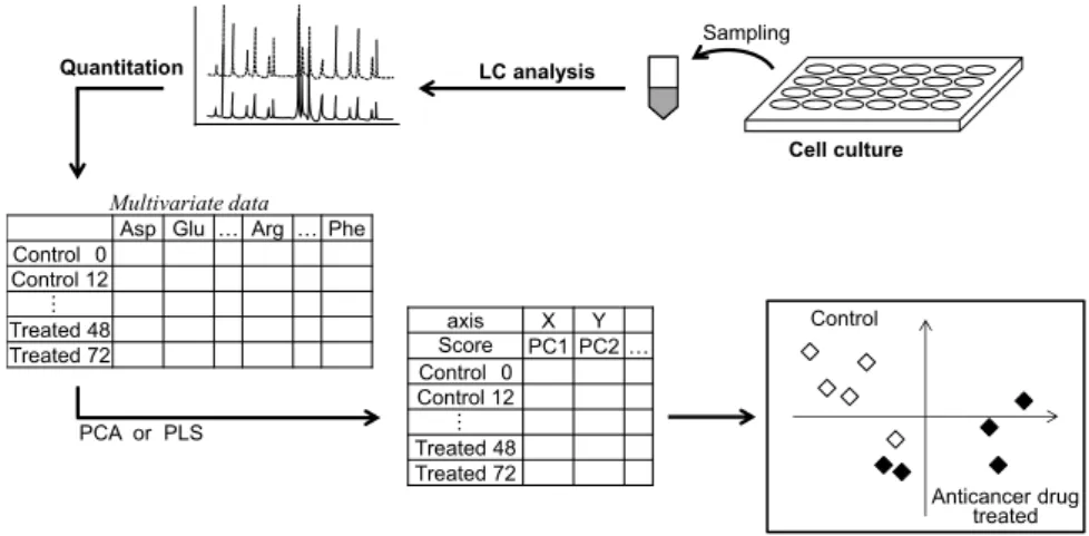 Fig. 1 Concept of amino acid metabolomics for evaluating of anticancer drugs on cancer cells by multivariate analyses 