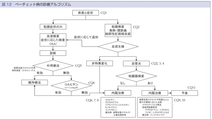 図 12　ベーチェット病の診療アルゴリズム 副腎皮質ステロイド中等量以上と 個々の病態に応じた治療 ステロイドパルス療法 免疫抑制薬併用 アザチオプリン、シクロホス ファミド、シクロスポリンなど 難治例 インフリキシマブ内服治療 予後内服治療コルヒチンヨウ化カリウムジアミノジフェニルスルホンミノサイクリンインドメタシン難治例 副腎皮質ステロイド少量短期併用他臓器病変なしあり非特異変化血管炎皮膚生検粘膜病変発熱・関節痛結節性紅斑様皮疹粘膜症状のみ血液検査（HLA）症状に応じた検査診断維持療法副腎皮質ステロイド