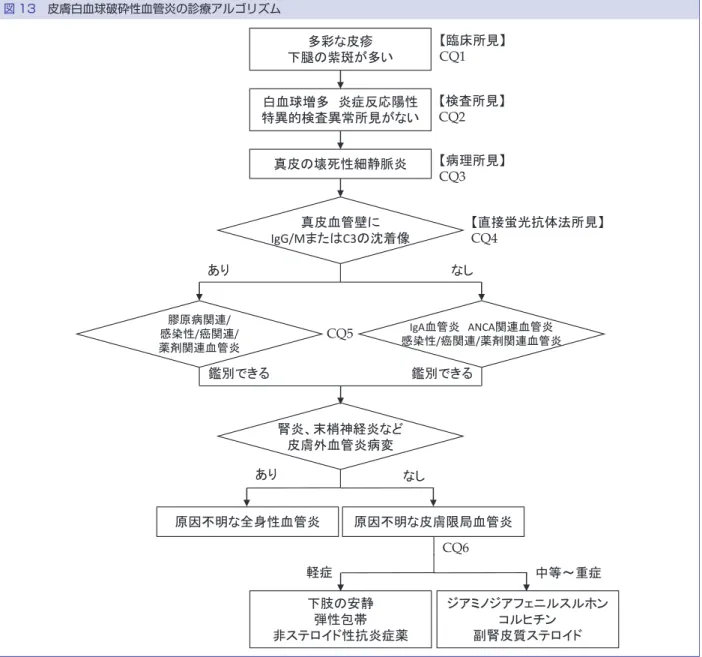 図 13　皮膚白血球破砕性血管炎の診療アルゴリズム 多彩な皮疹 下腿の紫斑が多い 白血球増多 炎症反応陽性 特異的検査異常所見がない 真皮の壊死性細静脈炎 真皮血管壁に IgG/M または C3 の沈着像 IgA 血管炎 ANCA 関連血管炎 感染性 / 癌関連 / 薬剤関連血管炎膠原病関連/感染性/癌関連/ 薬剤関連血管炎あり なし 鑑別できる鑑別できる 腎炎、末梢神経炎など 皮膚外血管炎病変 あり なし 原因不明な全身性血管炎 原因不明な皮膚限局血管炎 ジアミノジアフェニルスルホン コルヒチン 副腎皮質