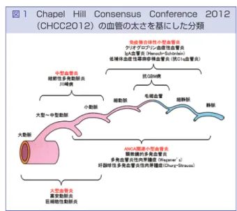 図 1　Chapel  Hill  Consensus  Conference  2012