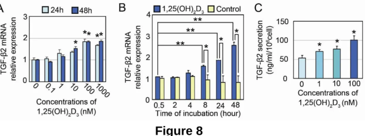 Figure 8  ビタミン D3 投与がヒト培養毛乳頭細胞の TGF-β2 mRNA 発現に対して与える、濃度(A)および 時間(B)依存的な影響    (C)  ビタミン D3 濃度と TGF-β2 蛋白分泌に与える影響   Figure 9  (A)  毛包再生モデルにおける TGF-β1  および TGF-β2  の発現  (B) TGF-β 受容体阻害剤（ SB431542 ）投与時の毛包再生モデルにおける再生毛包組織像 (C)  阻害剤（SB431542）投与時の再生毛包数  (D)  阻害剤（