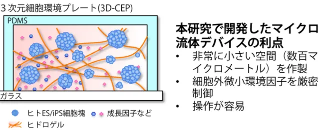図  2  本研究で開発したマイクロ流体デバイスの概念図とその利点。マイクロ流体デバイスとヒドロゲルを組み合 わせることによって、細胞外微小環境因子を 3 次元的に厳密制御できるようになります。このデバイスを私たちは 「3 次元細胞環境プレート（3D-CEP）」と名付けました。  2