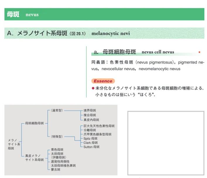 図 20.1　メラノサイト系母斑の分類 図 20.2①　母斑細胞母斑（nevus cell nevus）