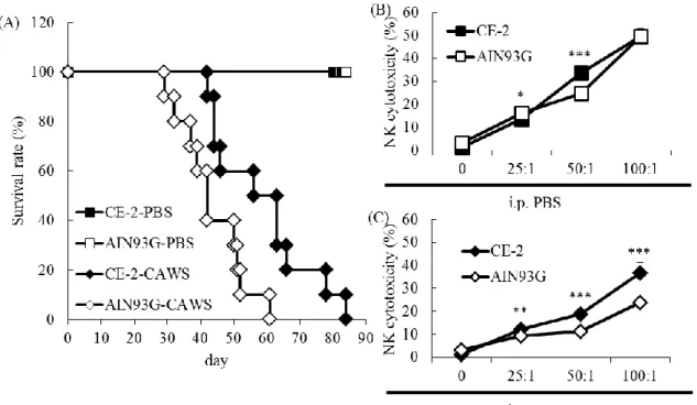 Figure  2.  Effect  of  the  feeding  on  the  survival  and  the  NK  cell  activity  on  CAWS vasculitis