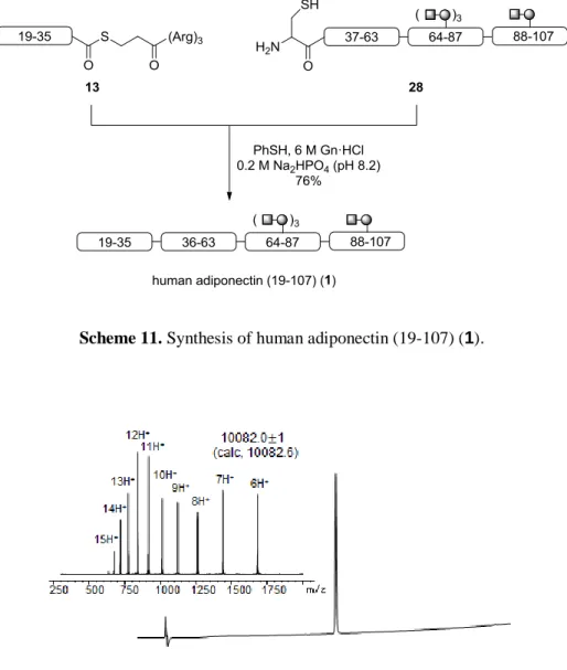 Figure 3. RP-HPLC and ESI MS analyses of purified human adiponectin (19-107) (1). 