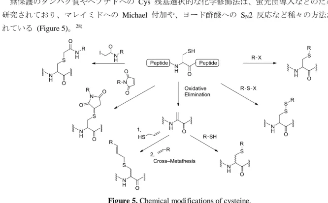 Figure 5. Chemical modifications of cysteine.   