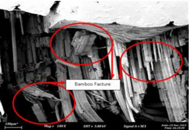 Figure 12. Scanning electron microscopy image of  2BW/6EG hybrid composite failure after impact fracture 