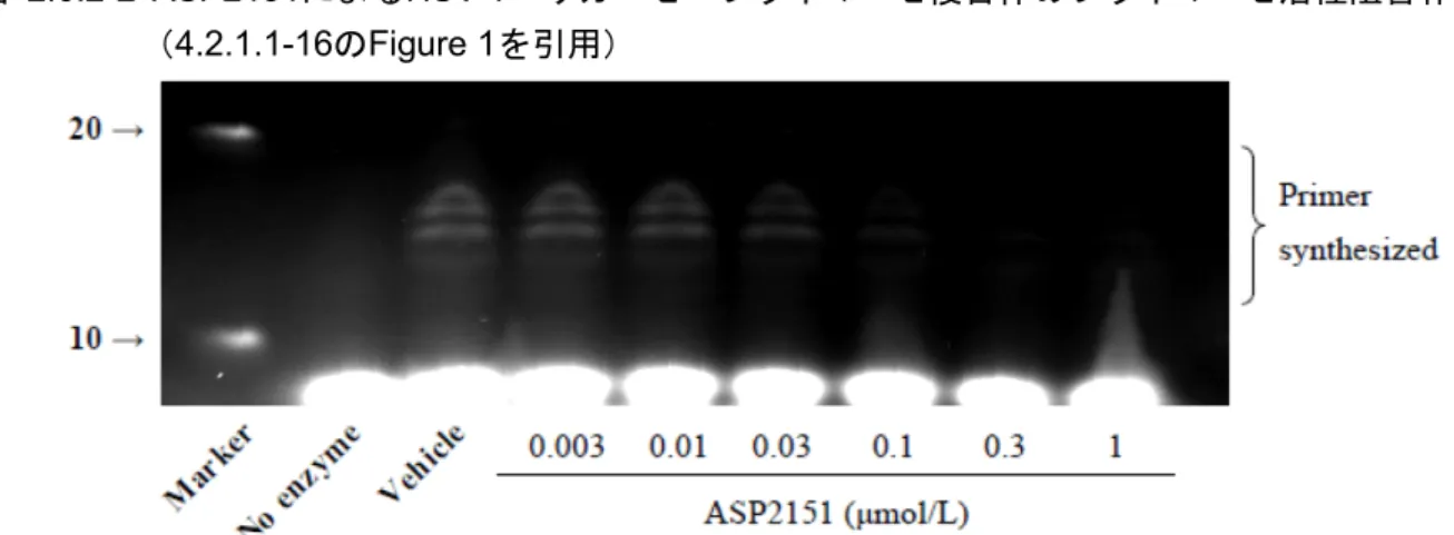 図   2.6.2-2  ASP2151 による HSV-1 ヘリカーゼ・プライマーゼ複合体のプライマーゼ活性阻害作用 （ 4.2.1.1-16 の Figure 1 を引用） ポリアクリルアミドゲル電気泳動法の結果を示す。 左端のレーンは 10 及び 20 ヌクレオチドを示す。 2.6.2.2.2.4   DNA 複製阻害作用 〔 4.2.1.1-14 〕 （参考資料） 報告書番号   15L-PH- 〔 4.2.1.1-17 〕 （評価資料） (1)  試験方法
