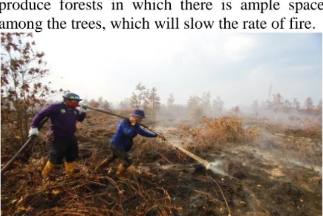 Figure 4. Members of the Pulang Pisau Regency  Community Fire department (MPA) extinguish forest and 
