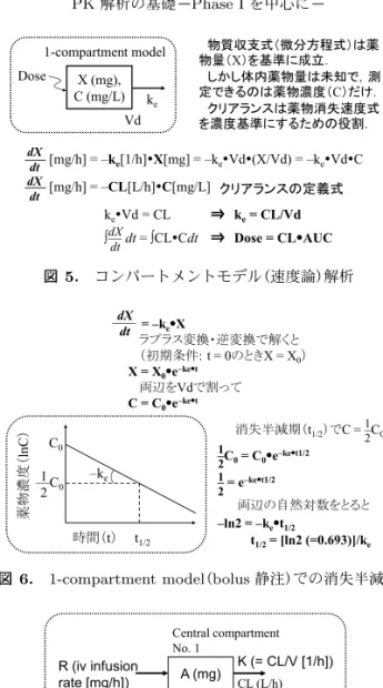 図 5. コンパートメントモデル （速度論）解析