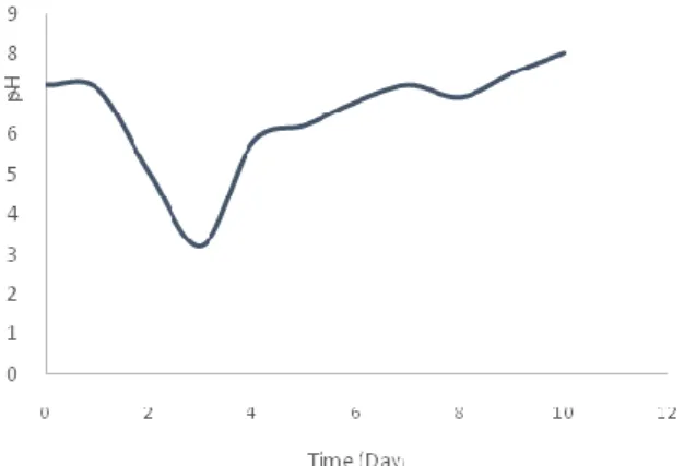 Figure  4.Total  solids  and  COD  concentration  with respect to time in the batch reactor
